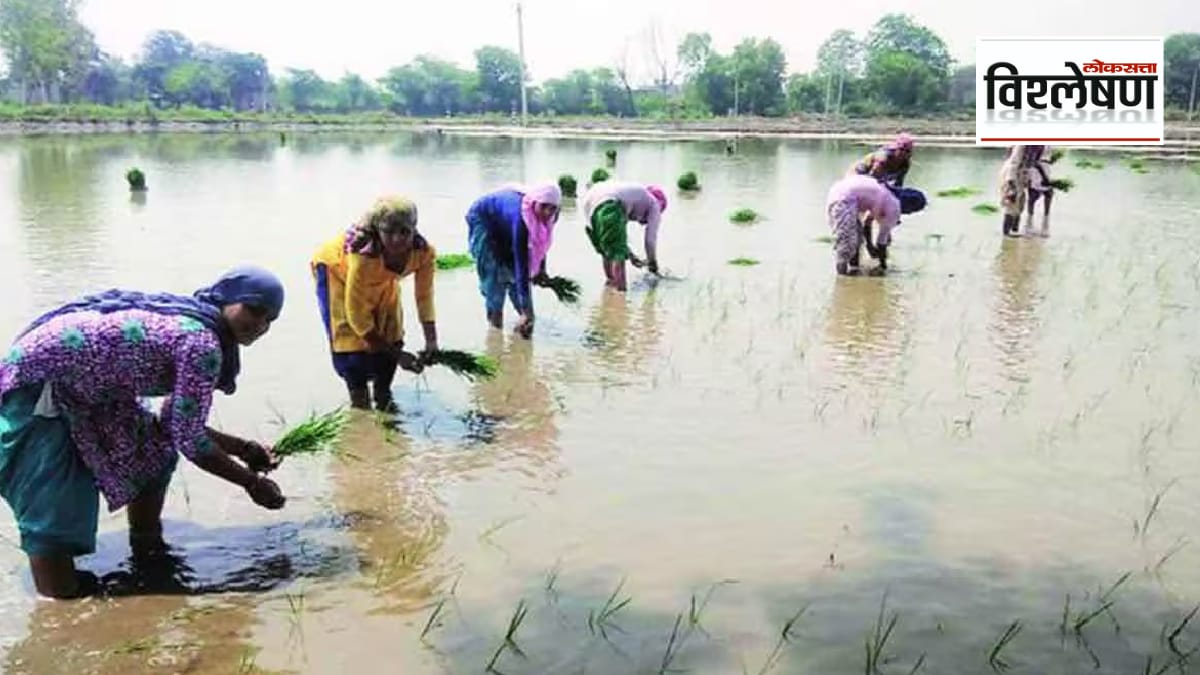 What exactly is the Clean Plant Project and how is it useful for farmers print