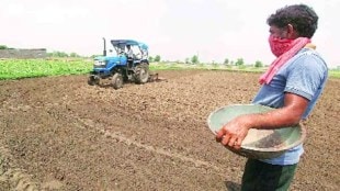maharashtra kharif sowing regionwise data Sowing increases due to heavy rains pune