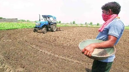 maharashtra kharif sowing regionwise data Sowing increases due to heavy rains pune
