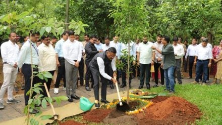 Thane municipal corporation resolution on environment day of two lakh tree will be planted in a year