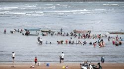 भाट्ये समुद्र किनाऱ्यावर ४० वर्षांमध्ये प्रथमच सापडला चायना शिंपल्यांचा समुद्री खजाना