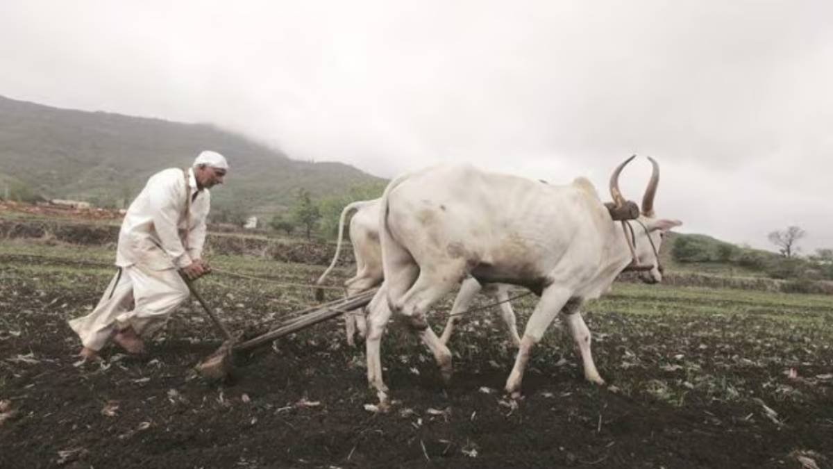 what comes first crop harvest or pandharpur waari question for farmers