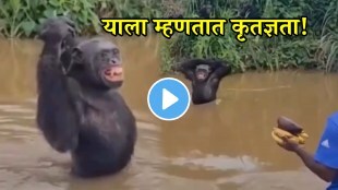 Chimpanzee Rushes Into Arms Of The Man Who Rescued Him Years Ago