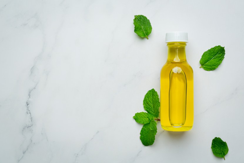 Essential oil of peppermint in bottle with fresh green peppermint